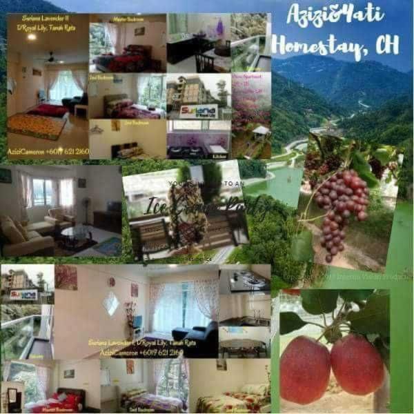 D'puncak Arabella Muslim * Cameron Highlands